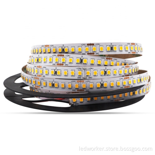 Best Price 240 Leds/m 2 Row 60 Inch SMD2835 RGBW LED Strip Lights
